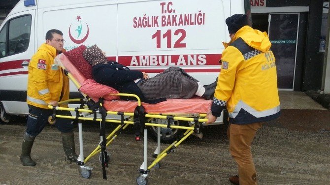 Kardan Yolu Kapanan Köydeki Hasta Paletli Ambulansla Kurtardı