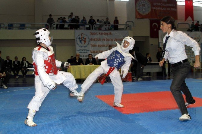 Ege Bölgesi Taekwondo Şampiyonası Muğla’da Yapıldı