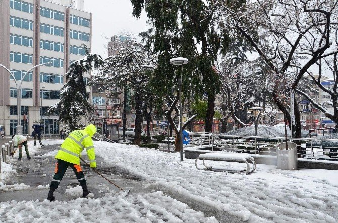 Trabzon Karla Mücadele Ediyor