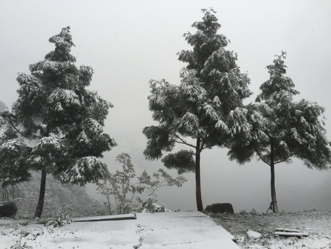 43 yılın en soğuk kışını yaşayan Tayvan'a kar yağdı