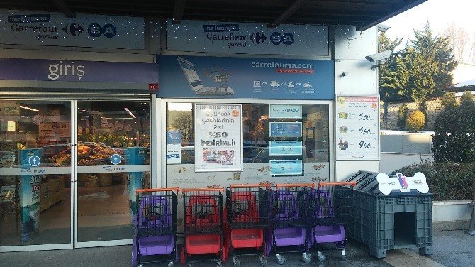 Carrefoursa’dan Sokak Hayvanları İçin “Dost Hareketi” Projesi