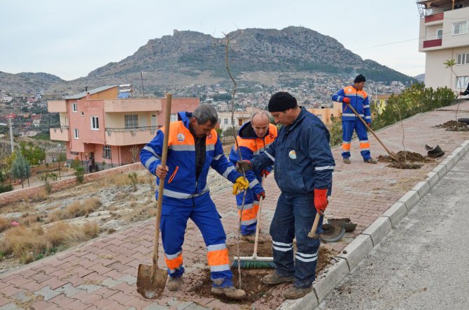 Kozan'da bulvar ve caddeler ağaçlandırılıyor