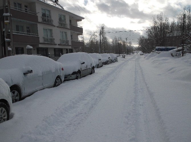 Varto’da Kar Yağışı