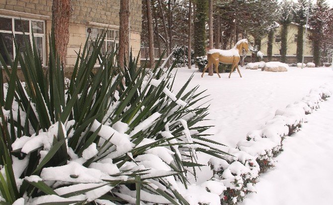 Elazığ’da Kar Nedeniyle 503 Köy Yolu Ulaşıma Kapandı