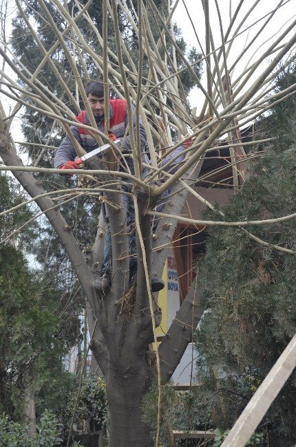 Turgutlu Belediyesi’nden Yardıma Muhtaçların Evlerini Isıtan Çalışma