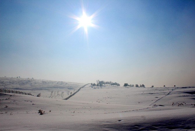 Doğu Anadolu Buz Kesti