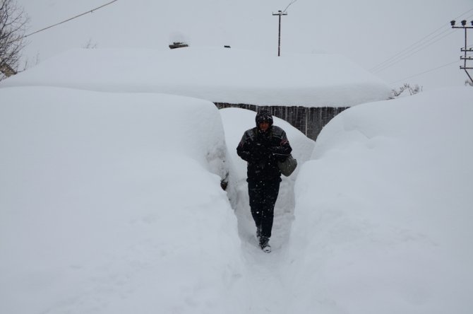 Bitlis’te kar 2 buçuk metreyi buldu, hayat durdu