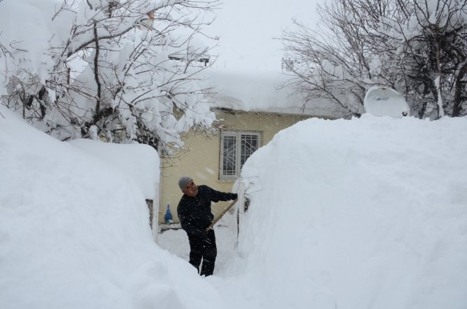 Bitlis’te kar 2 buçuk metreyi buldu, hayat durdu
