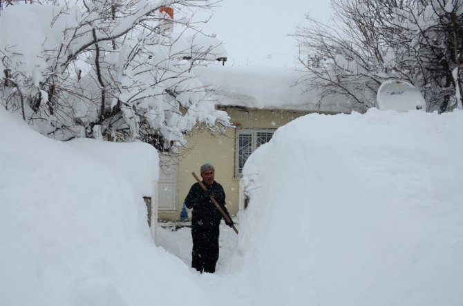 Bitlis’te kar 2 buçuk metreyi buldu, hayat durdu