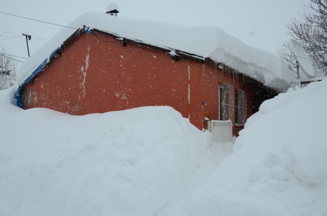 Bitlis’te kar 2 buçuk metreyi buldu, hayat durdu