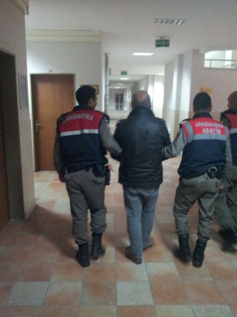 Bodrum’da 3 Kaçak Göçmen Yakalandı