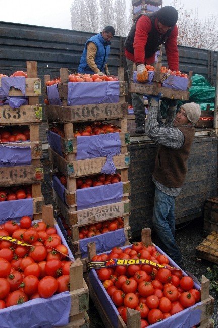 Ankaralılar Geçen Yıl En Fazla Portakal Ve Karpuz Tüketti