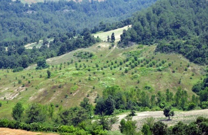 Adana’da 400 Çiftçi Aileye 2.5 Milyon Kredi Verildi