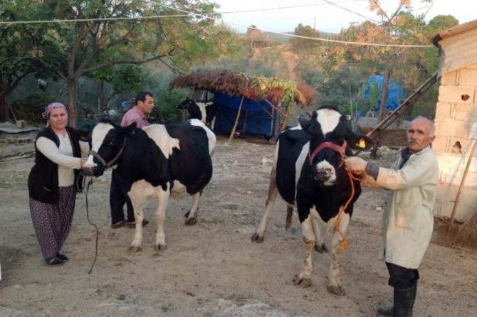 Adana’da 400 Çiftçi Aileye 2.5 Milyon Kredi Verildi