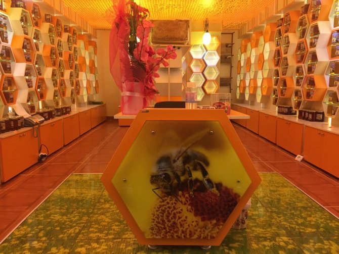 Yusufeli 'Bal Evi' hizmete açıldı