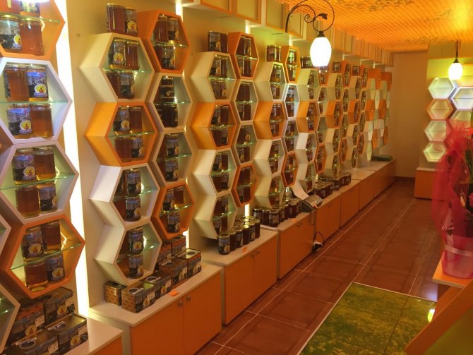 Yusufeli 'Bal Evi' hizmete açıldı