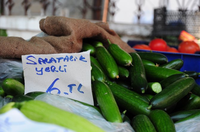 Salatalığın fiyatı pazarda 6 lirayı buldu
