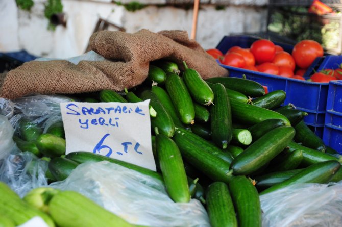 Salatalığın fiyatı pazarda 6 lirayı buldu