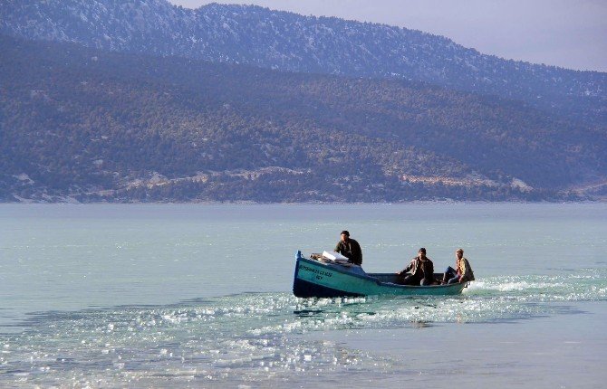 Adadaki Hasta Keçiyi Balıkçı Teknesiyle Taşıdılar