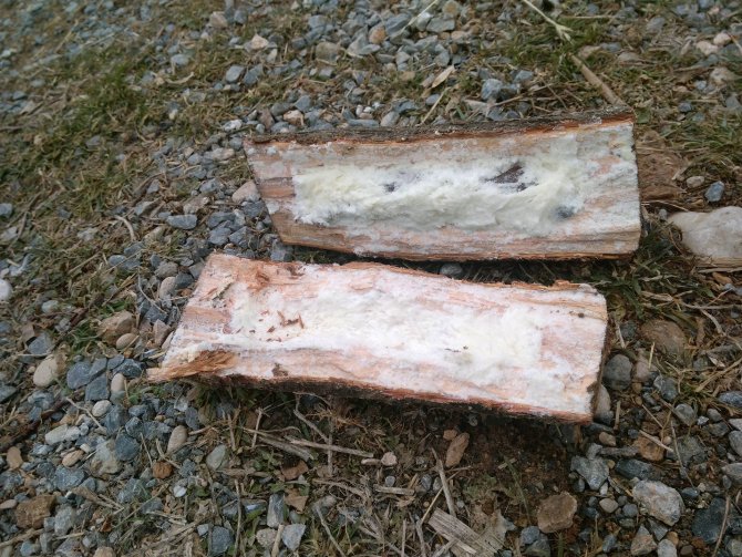 Sobaya atılan odunlar patladı: 7 yaralı