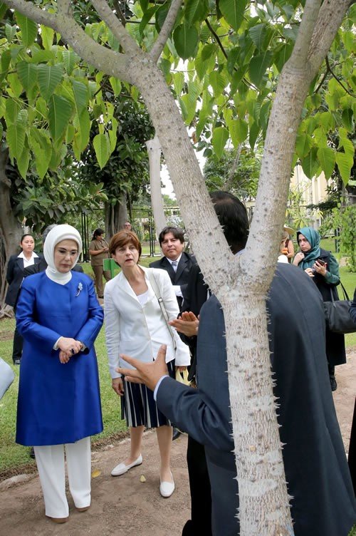 Emine Erdoğan, Peru’da Botanik Bahçesi'ni ziyaret etti