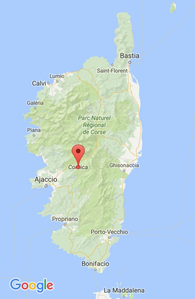 Korsika adasında Müslümanların işlettiği kasap silahlı saldırıya uğradı