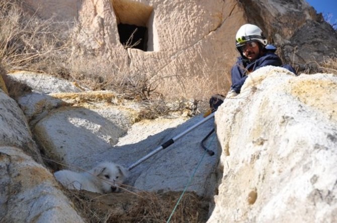 Kayalıklarda mahsur kalan köpeği kurtarma operasyonu