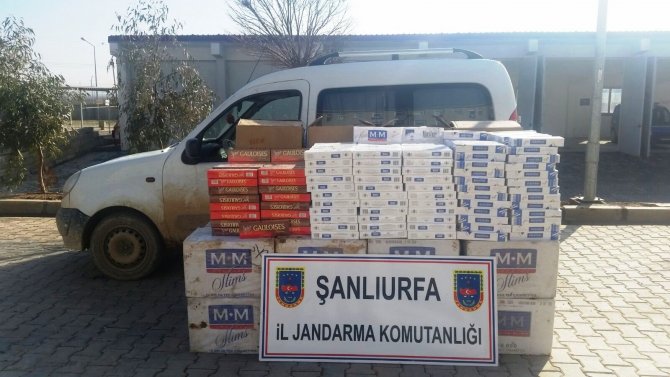 Şanlıurfa'da 100 bin paket kaçak sigara ele geçirildi