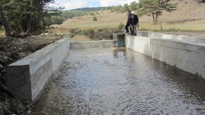 Sivas İl Özel İdaresi Tarım Sektörüne 55 Adet Proje Kazandırdı