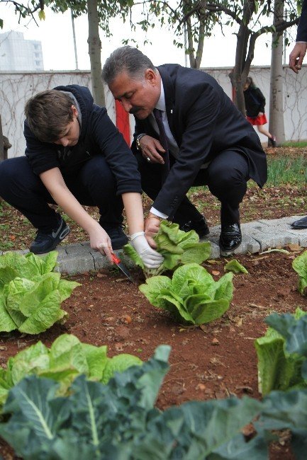 Başkan Tuna, Öğrencilerle Diktiği Sebzelerden Topladı