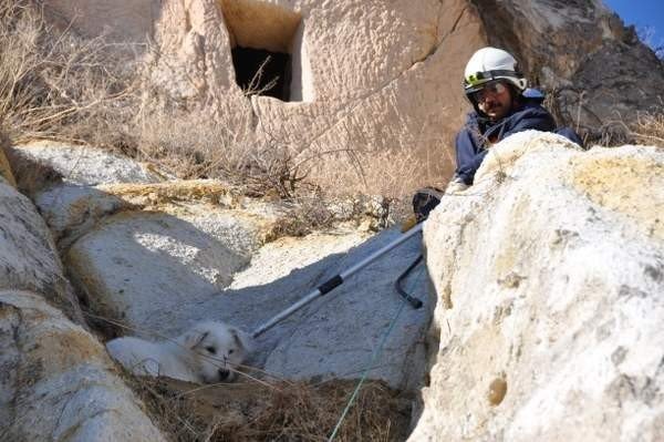 Kayalıklarda Mahsur Kalan Köpek Kurtarıldı