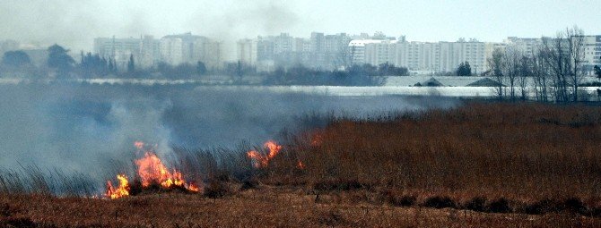Antalya’da Sazlık Yangını