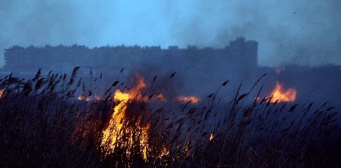 Antalya’da Sazlık Yangını