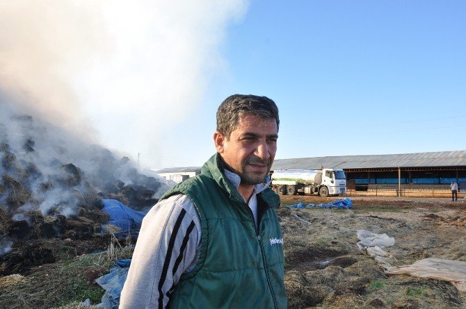 Çiftlikte Çıkan Yangında 5 Bin Balya Saman Kül Oldu