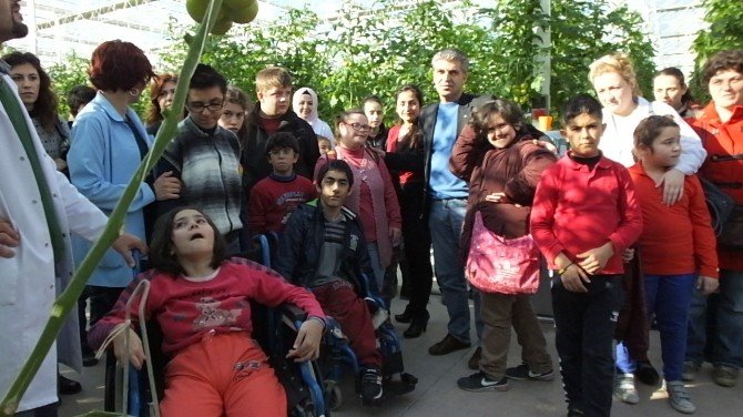 Burhaniye’de Engelli Çocuklar Sera İle Tanıştı