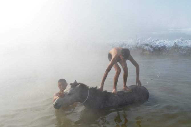 Dondurucu soğukta atlarla kaplıca keyfi