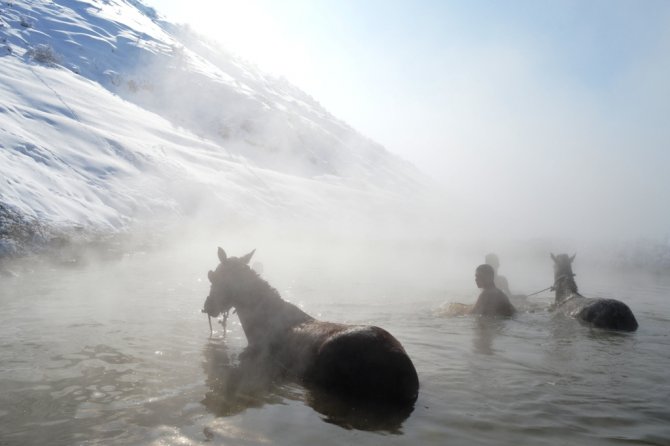 Dondurucu soğukta atlarla kaplıca keyfi