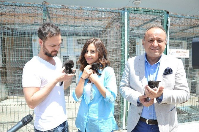 Kastamonu Belediyesi, Sokak Hayvanlarını Koruyor