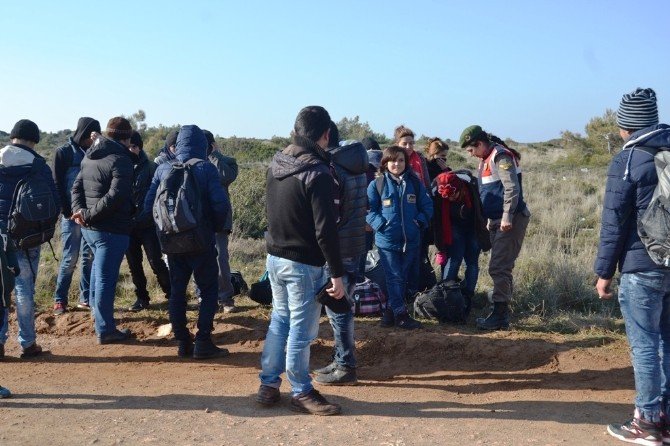 50 Suriyeli Göçmeni Yunanistan’ın Midilli Adası Diye Ayvalık’ın Pateriça Yarımadası’na Bırakıp Kaçtılar