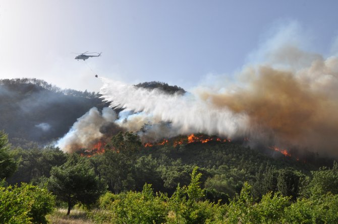 Bakan Eroğlu: 2014-2015’te ortalama 8 bin 863 hektar alan zarar gördü