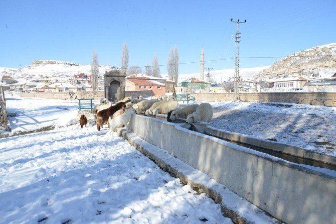 Pınarbaşı’nın Ayvacık Köyü Eski İsmi Olan Cabe’yi Geri Alıyor