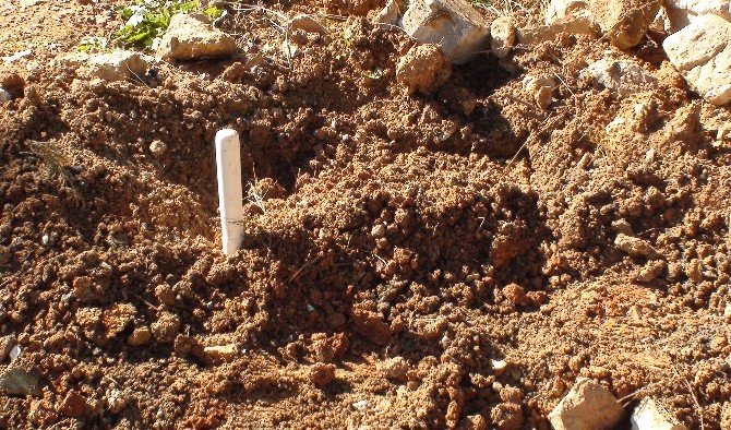 Mezarlık Yanına Gömülen Köpek Yavrusu Polisi Alarma Geçirdi