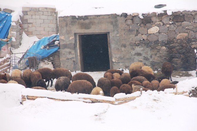 Iğdır Dağ Köylerinde Kara Kış