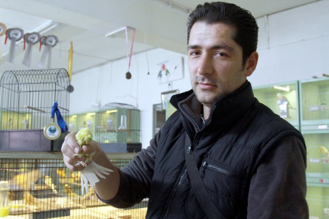 Türk kanaryaları 22 dalda dünya şampiyonu