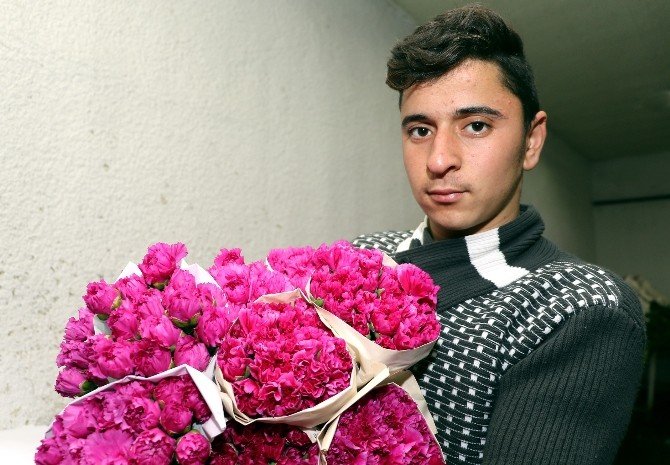 Avrupalı Sevgililere 30 Milyon Dal Türk Çiçeği