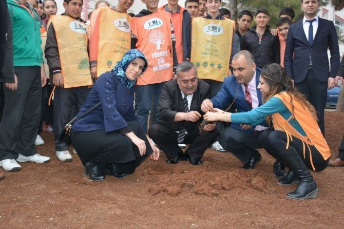 Yeşil Okulla Yeşil Kilis, Okulları Ağaçlandırma Projesi