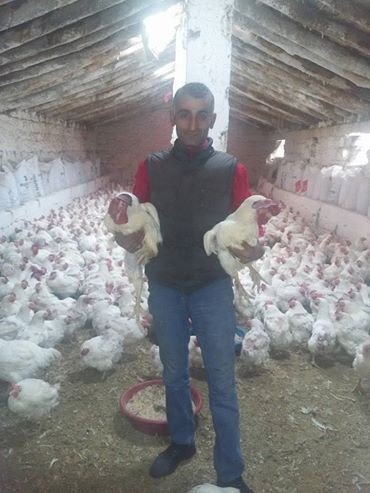 Kendi İmkanlarıyla “Gezen Tavuk Çiftliği’”kurdu