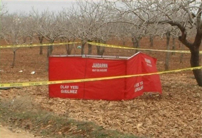 Şalıurfa’da Yanmış Erkek Cesedi Bulundu