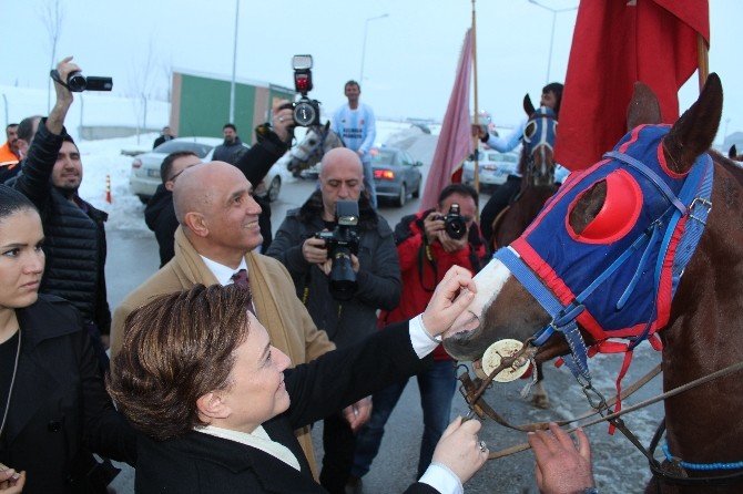 Bakan Sarı, İlk Atlı Kızak Keyfini Erzurum’da Yaşadı