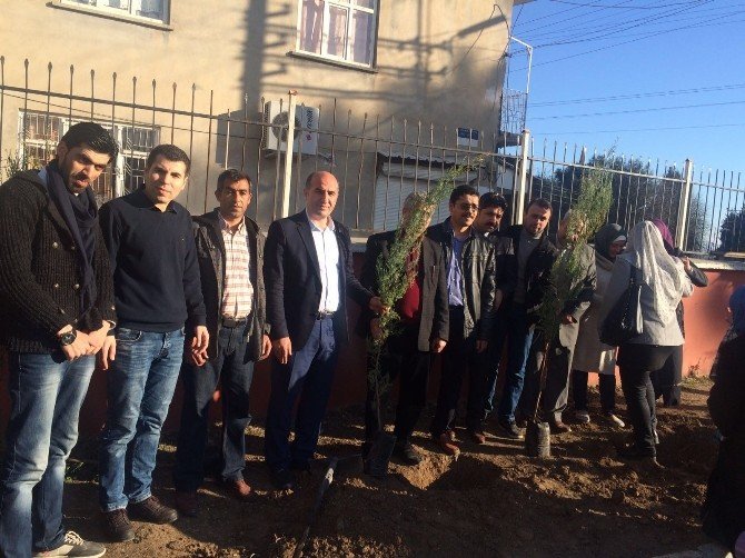 ‘Bir Ağaç, Bin Umut’ Fidan Dikim Kampanyası